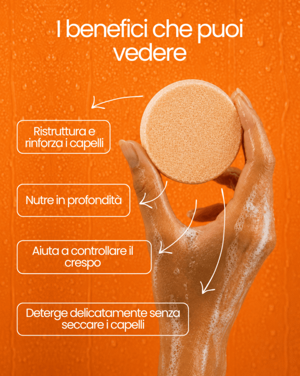 Fantastic* shampoo solido per capelli trattati